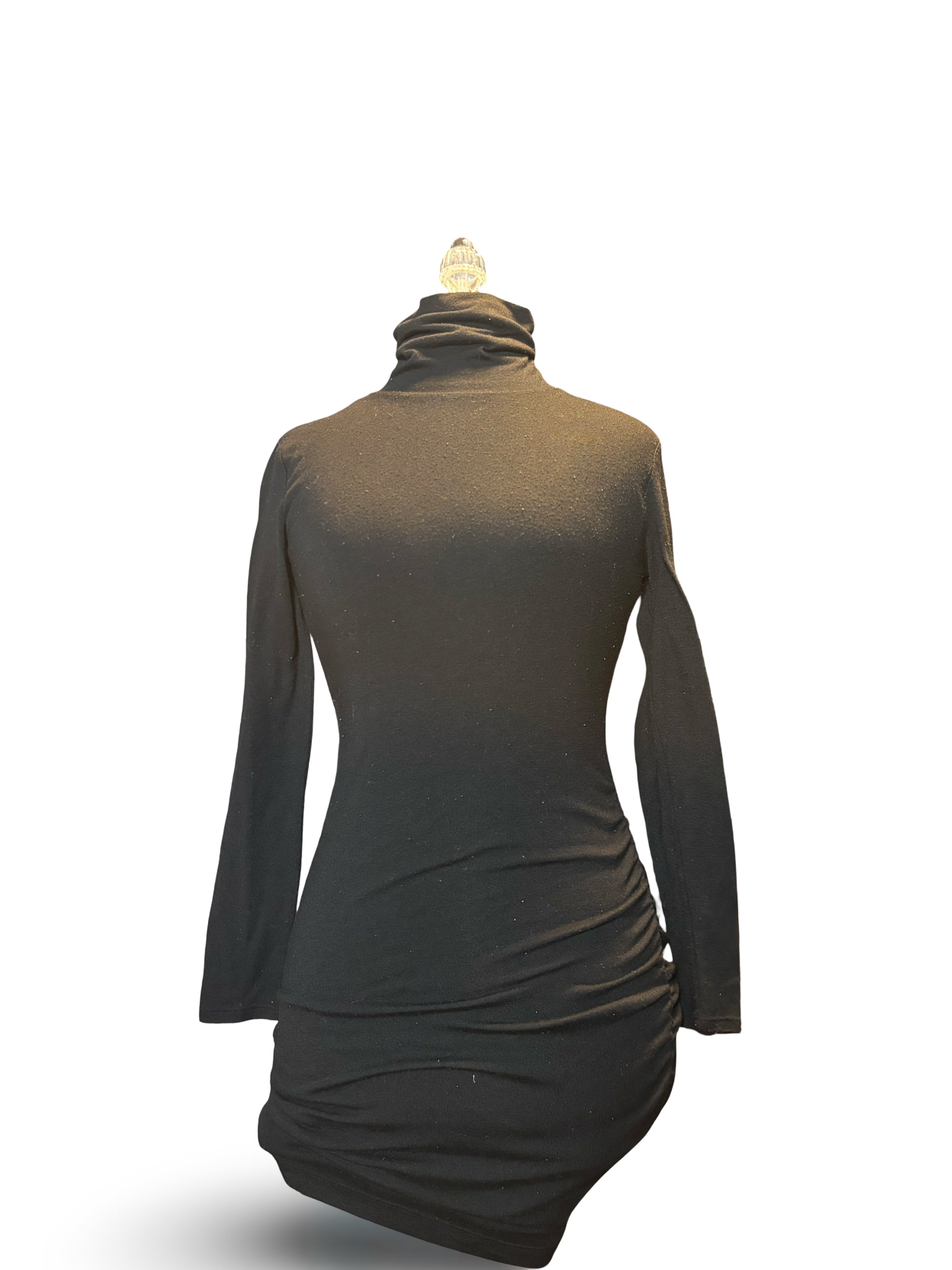 Banana Republic Turtleneck Longsleeve Dress