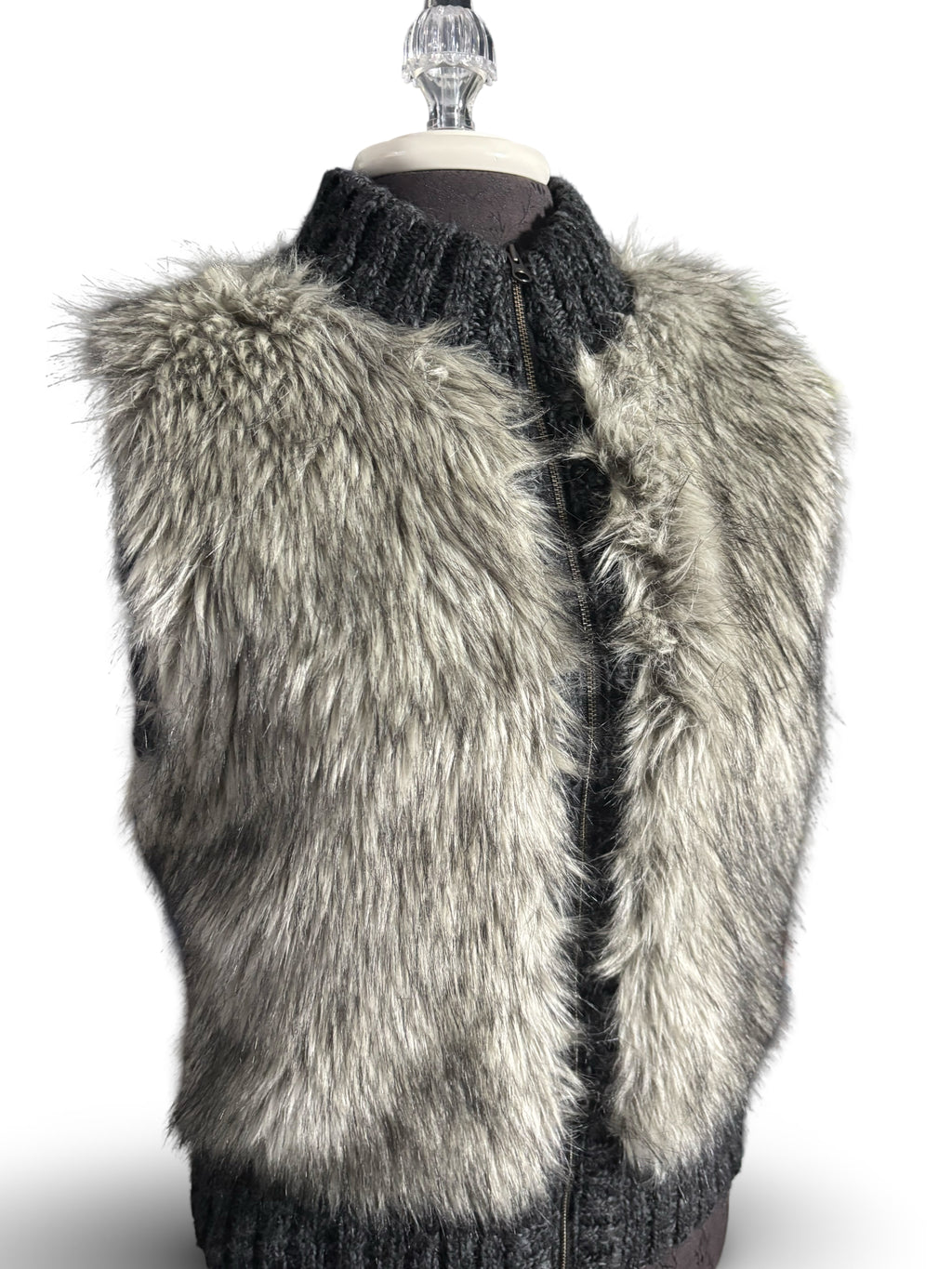 LOFT Faux Fur Zip Vest