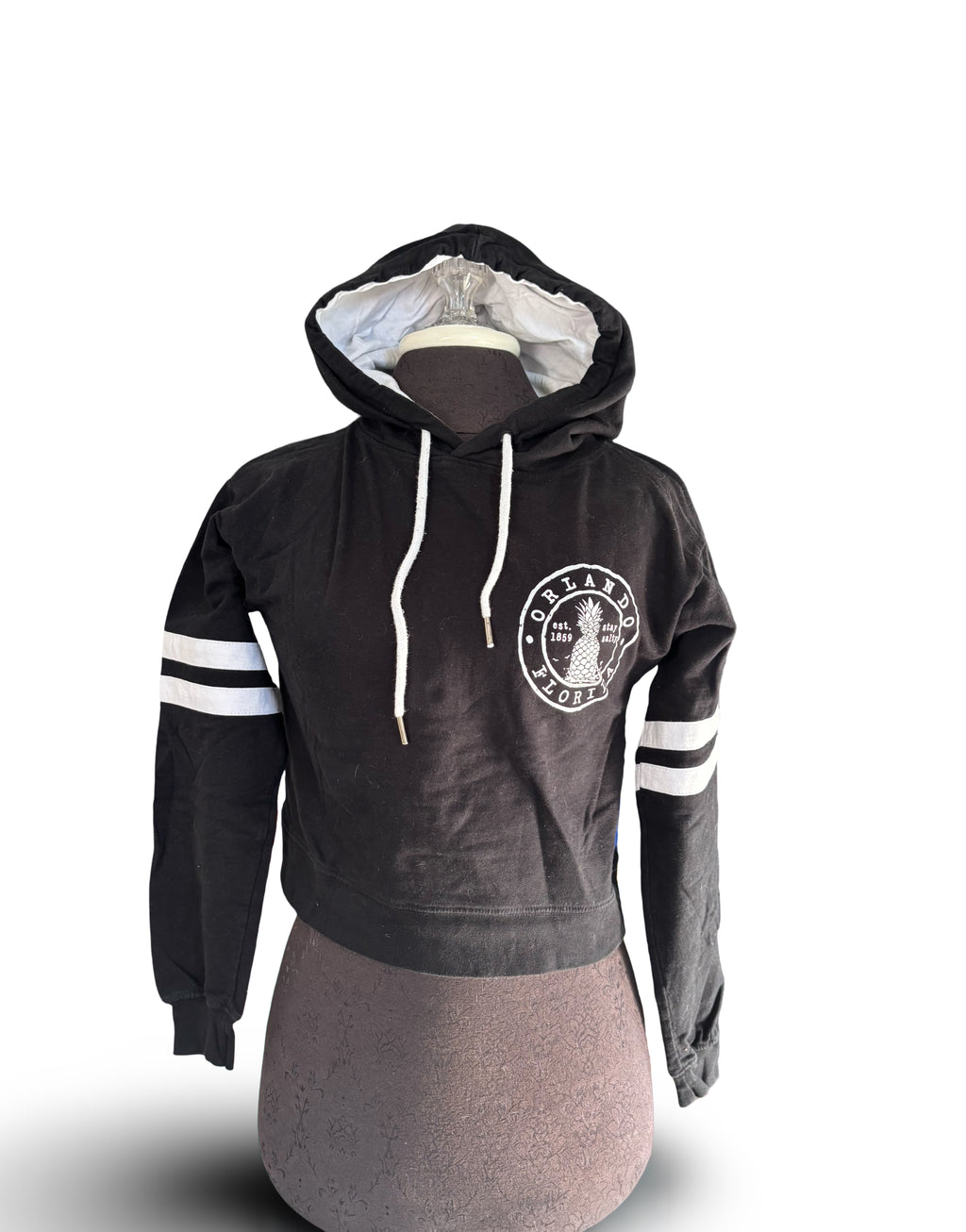 Orlando Florida Cropped hoodie