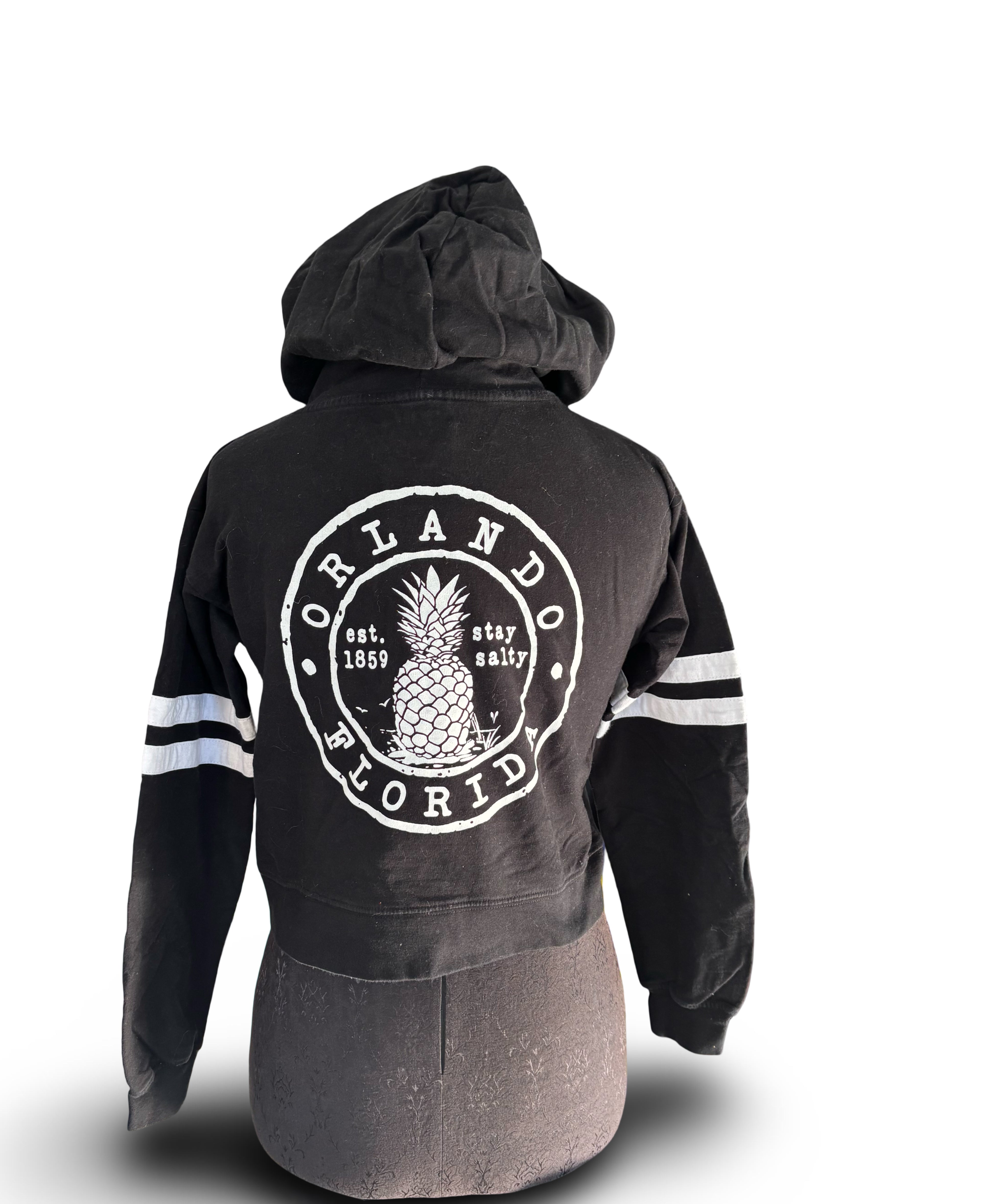 Orlando Florida Cropped hoodie